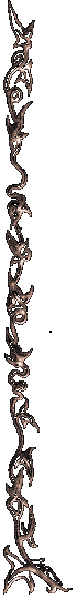 Separator de Dminds